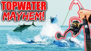 Throwing Topwater Baits into a FEEDING FRENZY of GIANT Tuna [upl. by Dviad]