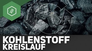 Kohlenstoffkreislauf – Stoffkreisläufe 3 [upl. by Amedeo]