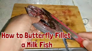 How to Butterfly Fillet a Milkfish [upl. by Blaseio380]