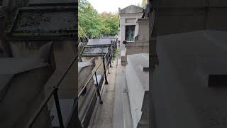 ASMR walk in Graveyard  Headstone Crow cry Cimetière de Montmartre Montmartre Cemetery S698✝️ [upl. by Merrill]