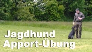 Jagdhunde  Apportieren  junger Deutsch Drahthaar [upl. by Lynnet578]