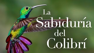 LA SABIDURIA DEL COLIBRÍ [upl. by Benedict237]