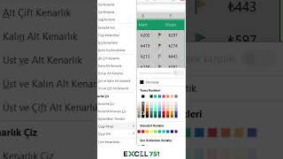 Excelde Farklı Renkte Kenarlık Atamanın Kolay Yolu  EXCEL 751 [upl. by Hairahcez218]