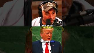 Rogan on Trump Schooling CNN Reporter [upl. by Bishop]