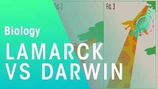 Theories of evolution Lamarck vs Darwin  Evolution  Biology  FuseSchool [upl. by Arraet]