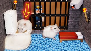 Hamster Escapes from the Minecraft Prison Maze Obstacle Course [upl. by D'Arcy]