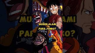 Siapa Musuh Alami Yonko onepiece anime yonko luffy shanks kaido shirohige fyp shorts [upl. by Querida684]