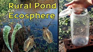 Creating a Rural Pond ECOSPHERE in the WINTER │ Can You Build an Ecosphere During the Winter [upl. by Sheng]