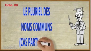 O8  Le pluriel des noms cas particuliers [upl. by Wilonah689]