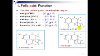 Biochemistry   drEman Folic acid B12 Vit C [upl. by Ocsecnarf]