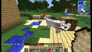 Chris Minecraft Adventure ep 4 The Derpy Dog [upl. by Annwahsal]