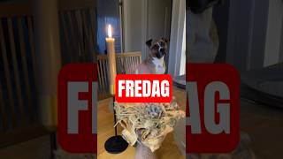 ÄNTLIGEN FREDAG 🍁 fredag husbilsfolk husbil husbilsliv husbilsresor vanlife hund friday [upl. by Ylerebmik]