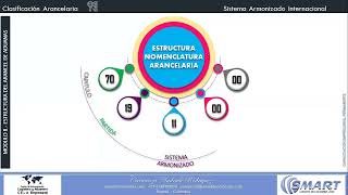 NOMENCLATURA ARANCELARIA [upl. by Timmi895]