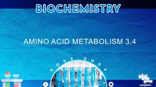 L34 metabolism of amino acids  Biochemistry [upl. by Zaob661]