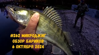 262 Микроджиг Обзор Бариков 6 октября 2024 [upl. by Clawson627]