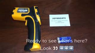 SOVARCATE NonContact Infrared Thermometer starring Sofi [upl. by Amory]