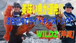 美味い魚が連発渡名喜近海沖縄でライトキャスティングジグWILD2 [upl. by Spitzer177]