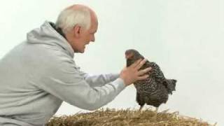 Colin Mochrie Gives a Pep Talk to a Chicken  World Vision [upl. by Yard]