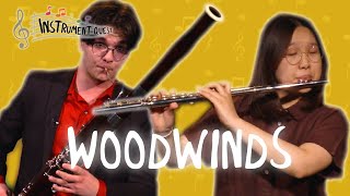 What are woodwind instruments [upl. by Cirnek]