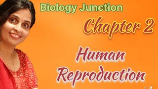 Chapter 2 Human Reproduction overview NEET  Boards [upl. by Yajeet]