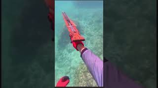 Buceo y pesca viralvideo [upl. by Ia44]