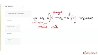 Polypeptide is…… of protein [upl. by Notsek]