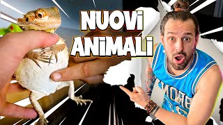 Mi Hanno Regalato degli ANIMALI di Nuovo [upl. by Gnohp]