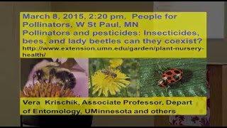 Pesticides and Pollinators  Can We CoExist [upl. by Tahmosh]