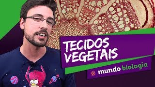 🌿 Botânica 35 Histologia Vegetal  Biologia  ENEM [upl. by Adnawuj]