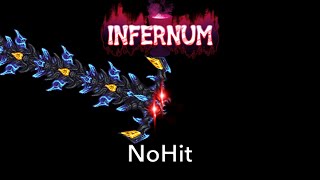 Terraria Calamity Infernum Adult Eidolon Wyrm NoHit  Mage [upl. by Habas]