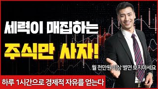 1월 3일 세력주 분석나무기술 쇼박스 케이티알파 KEC 부광약품 한컴위드 한국전자인증 모나리자 등 [upl. by Nitsirt]