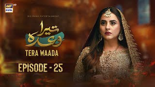 Tera Waada Episode 25  24 January 2024 English Subtitles ARY Digital [upl. by Noreik997]