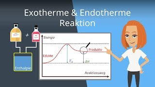 Exotherme und Endotherme Reaktionen  Beispiele und Energiediagramme [upl. by Inilam]