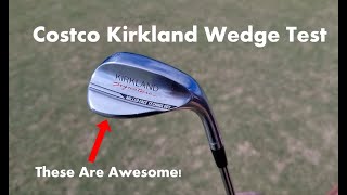 Costco Kirkland Wedge Test [upl. by Aynatan]