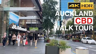 Auckland Sunday Afternoon Walk New Zealand 4K [upl. by Emoreg]