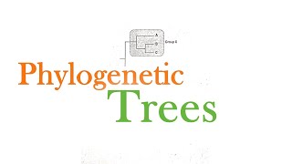 Phylogenetic Tree Questions  CSIR NET JRF [upl. by Aisila116]