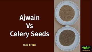 Ajwain vs Celery seeds  अजवाइन  Everyday Life  341 [upl. by Leach]