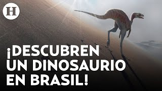 Científicos identifican una nueva especie de dinosaurio en Brasil denominada Farlowichnus Rapidus [upl. by Beora]