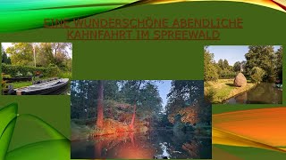 Wir waren auf einer wunderschönen Kahnfahrt am Abend im Spreewald [upl. by Amme99]