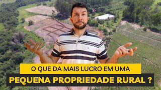 O que dá MAIS lucro em uma pequena propriedade rural [upl. by Adnilra]