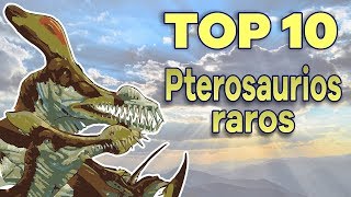 Top 10 Pterosaurios raros [upl. by Carlynn324]