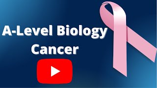 Cancer ALevel Biology [upl. by Sorkin]