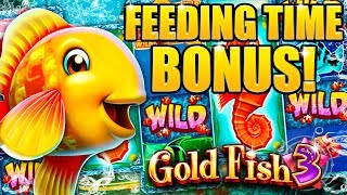 ★ GOLD FISH 3 ★ Slot Review  By Alberts Slot Channel [upl. by Htebezile]