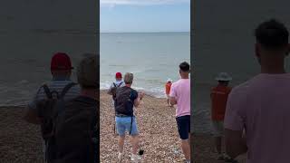 🥇 winner of the Brighton pier to pier sea swim winner win swimming brighton cool sea beach [upl. by Accebar]