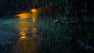 Armonía en la Oscuridad Sinfonía de Luces y Lluvia en la Ciudad Nocturna 🌧️🌃 [upl. by Ahsieyn]