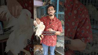 Is Broiler Chicken Bad For Health  For Online Fitness Coaching WhatsApp me at 919663488580 [upl. by Klenk]