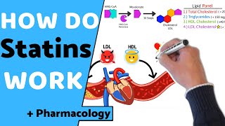 How do Statins Work  Pharmacology [upl. by Einnep]