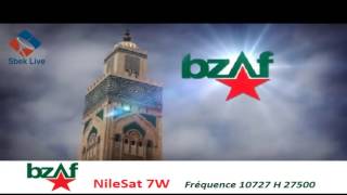 Bzaf TV fréquence sur nilesat [upl. by Houston804]