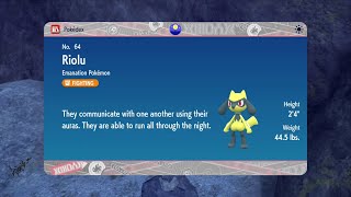 Shiny Riolu Event Mass Outbreak  Pokemon Scarlet amp Violet [upl. by Asirram552]