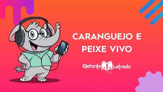 Música Elefante Letrado  Caranguejo e Peixe Vivo [upl. by Tadashi715]